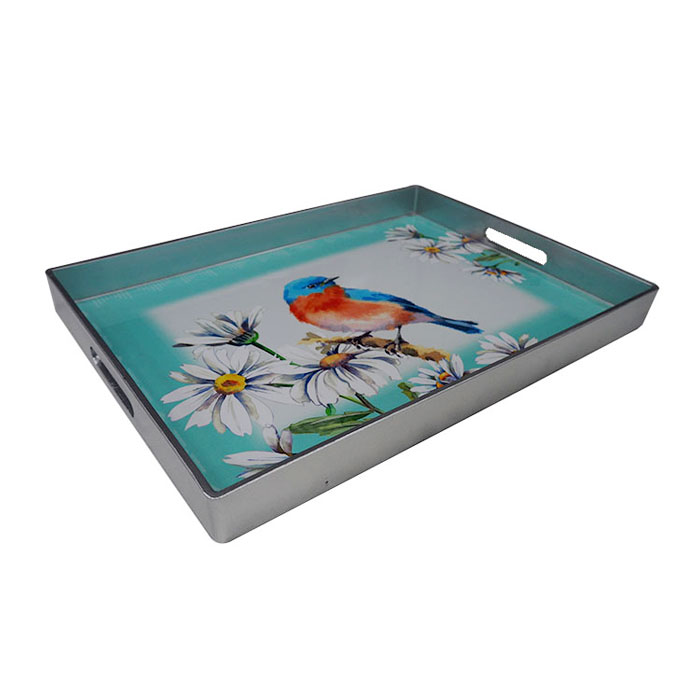 Plastic Serving Tray with Paper (39483512P)